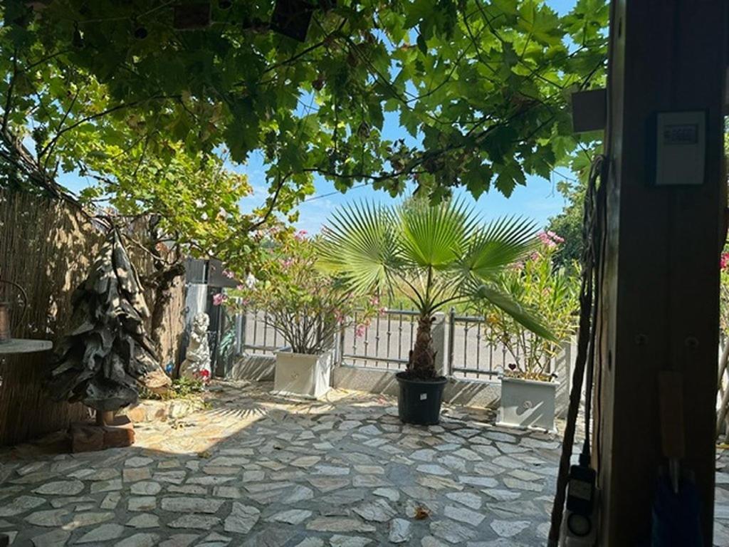 Ferienwohnung Insel Reichenau Εξωτερικό φωτογραφία